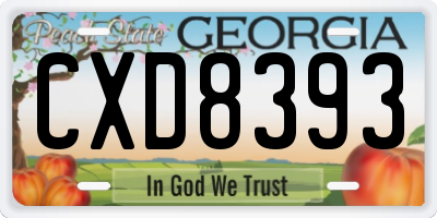 GA license plate CXD8393