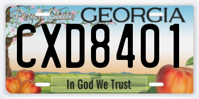 GA license plate CXD8401