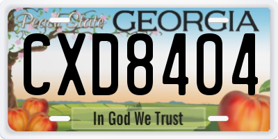 GA license plate CXD8404