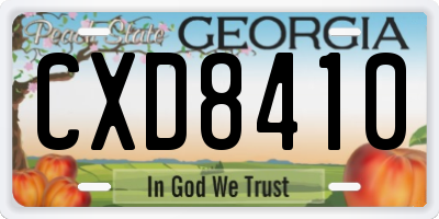 GA license plate CXD8410