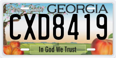 GA license plate CXD8419
