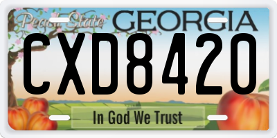 GA license plate CXD8420
