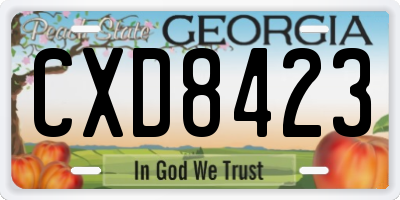 GA license plate CXD8423