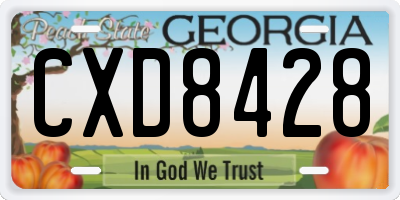 GA license plate CXD8428