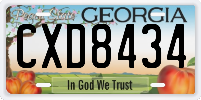GA license plate CXD8434