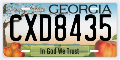 GA license plate CXD8435