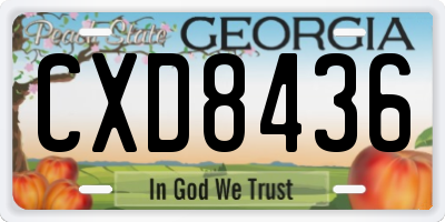 GA license plate CXD8436