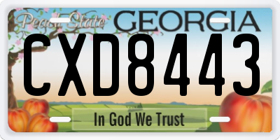 GA license plate CXD8443