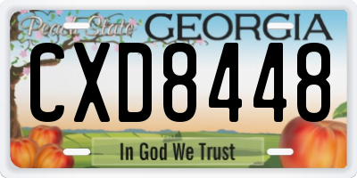 GA license plate CXD8448