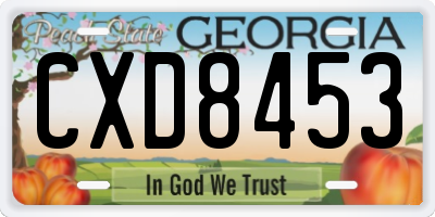 GA license plate CXD8453
