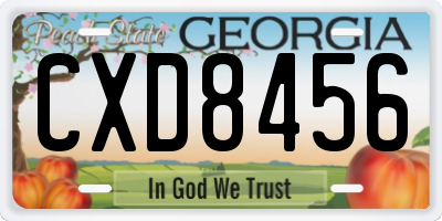 GA license plate CXD8456