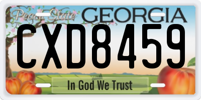 GA license plate CXD8459