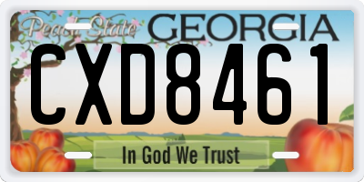GA license plate CXD8461