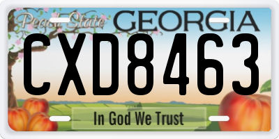 GA license plate CXD8463