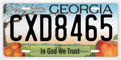 GA license plate CXD8465