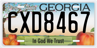 GA license plate CXD8467