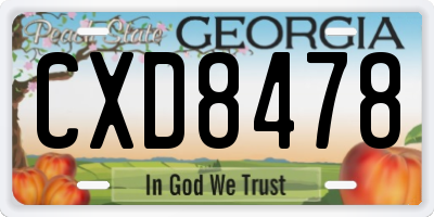 GA license plate CXD8478