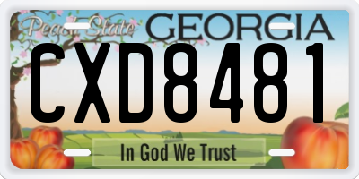 GA license plate CXD8481
