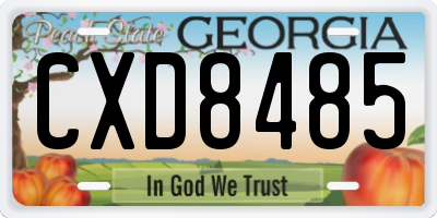 GA license plate CXD8485