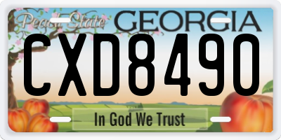 GA license plate CXD8490