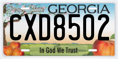 GA license plate CXD8502