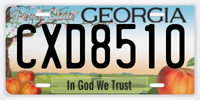 GA license plate CXD8510