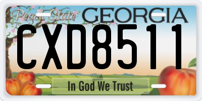 GA license plate CXD8511