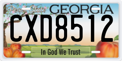 GA license plate CXD8512