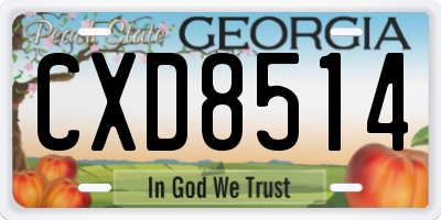 GA license plate CXD8514