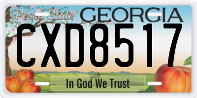 GA license plate CXD8517