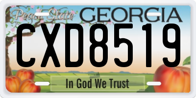 GA license plate CXD8519