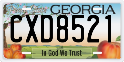 GA license plate CXD8521