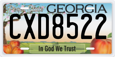 GA license plate CXD8522