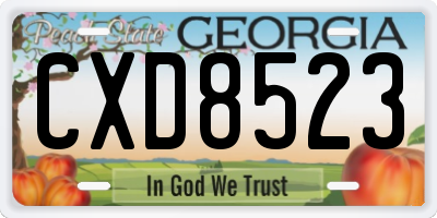 GA license plate CXD8523