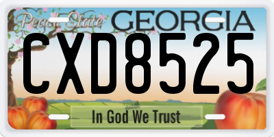 GA license plate CXD8525