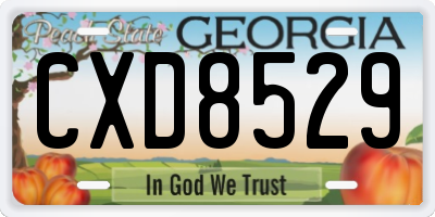 GA license plate CXD8529