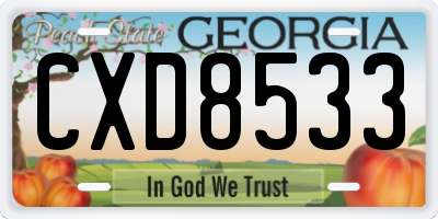 GA license plate CXD8533