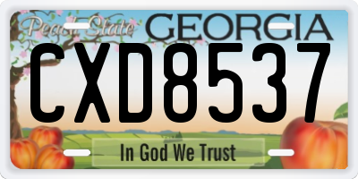 GA license plate CXD8537