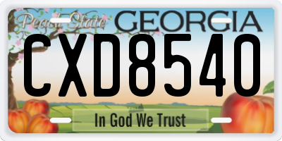 GA license plate CXD8540