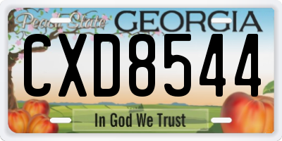 GA license plate CXD8544