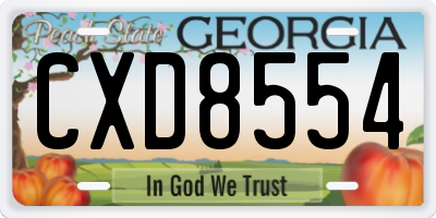 GA license plate CXD8554