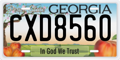 GA license plate CXD8560