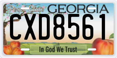 GA license plate CXD8561