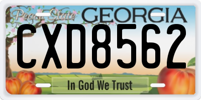 GA license plate CXD8562