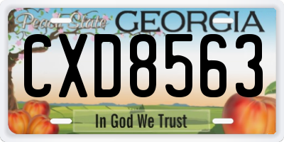GA license plate CXD8563