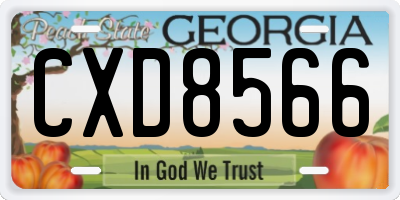 GA license plate CXD8566