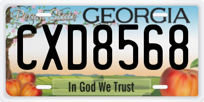 GA license plate CXD8568