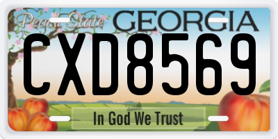 GA license plate CXD8569