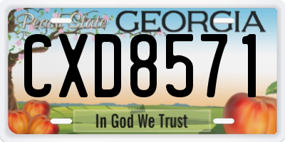 GA license plate CXD8571