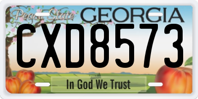 GA license plate CXD8573